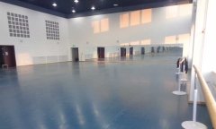 沈陽市渾南新區(qū)沈陽歌舞團(tuán)舞蹈地板