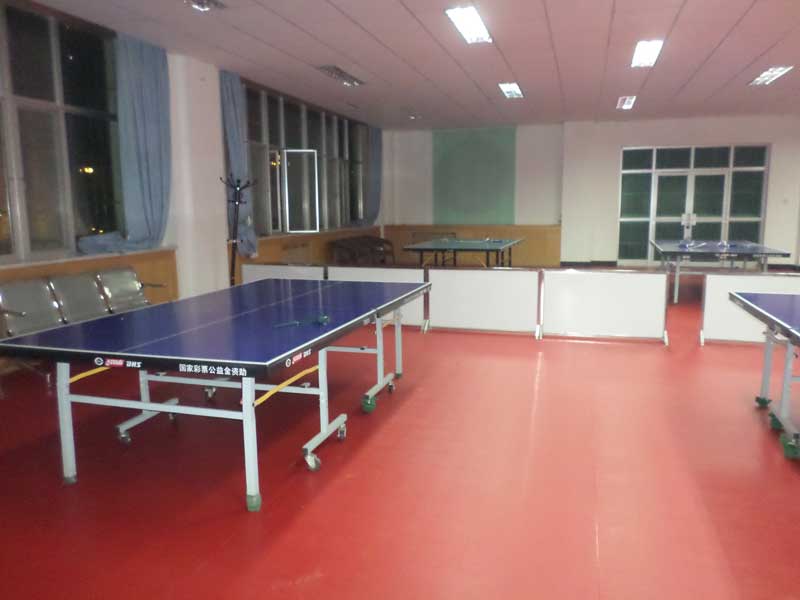 甘肅pvc塑膠運(yùn)動地板